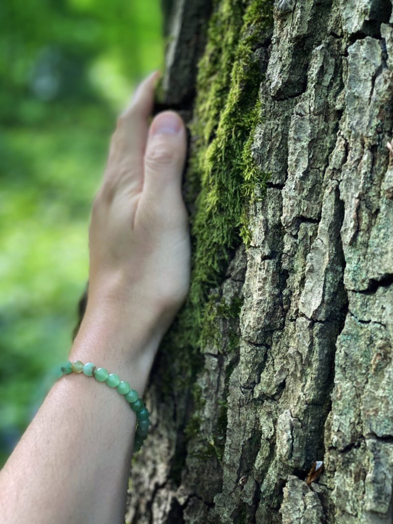 Parc d'Olhain - Agence GUS Parc d'Olhain - Agence GUS