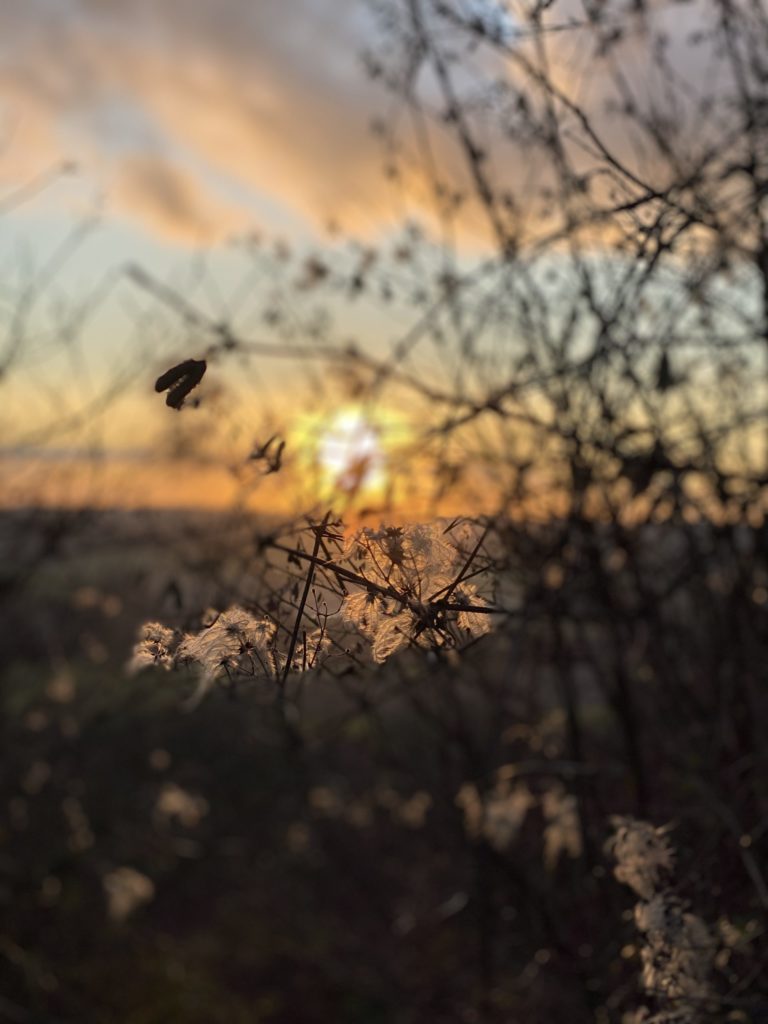 Parc d'Olhain - Agence GUS - Béthune Parc d'Olhain - Agence GUS - Béthune